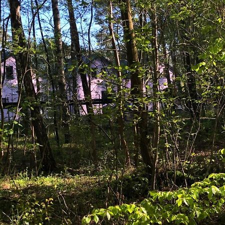 Lawendowe Domki Międzywodzie Exteriér fotografie